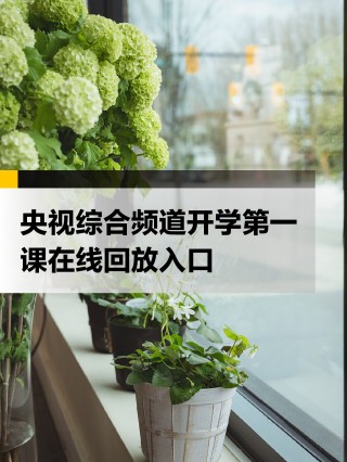 电视直播 *** (电视在线看直播高清)