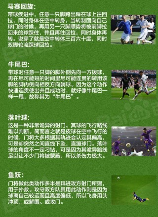 足球的一些基本知识(足球的一些基本知识越短越好30字)