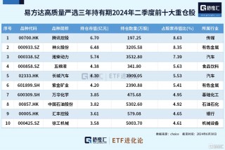 萧楠二季度减持白酒股，加仓港股，腾讯控股新进其前十大重仓股