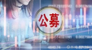 首家新设外商独资证券公司获批(首家新设外商独资证券公司获批是哪一年)