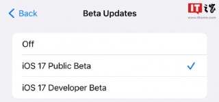 苹果 iOS 18.2 开发者预览版 Beta 发布