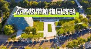 天津泰达(天津泰达股份有限公司)