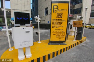 株洲智能停车(株洲智能停车怎么手机交费的)