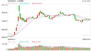 杨德龙：2025年行情拉开序幕 充满机遇与挑战