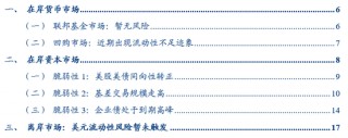 张瑜：暗流涌动——美国金融市场风险全景扫描