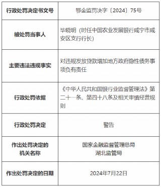 农发行咸宁市分行及荆门市分行总计被罚80万元：因违规发放贷款增加地方 *** 隐性债务