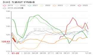 生猪：开年大涨，能期待多久？