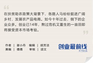 从刷单丑闻到美股敲门，14岁一亩田冲刺“农产品电商之一股”