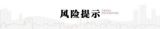 中信建投：四点预期差之下，继续强烈看多锑市