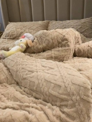 包含电热毯概念股还能追吗的词条