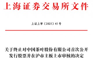 又有公司IPO终止