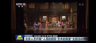 直播8在线直播观看免费(直播8在线直播观看免费高清)