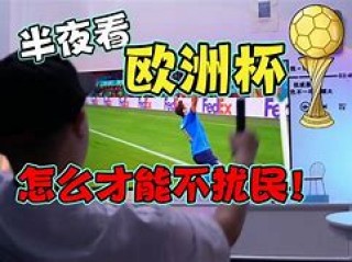 别哭小说哪里看欧洲杯(别哭这本小说是说的什么)
