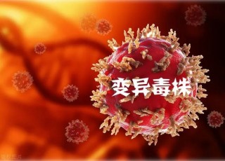 专家：不同变异株可能会造成二次感染的简单介绍