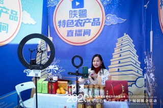 在线直播(在线直播中央一套节目)