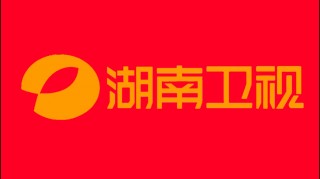 湖南电视台(湖南电视台新闻热线记者 *** )