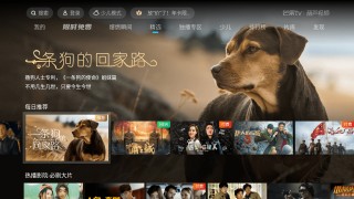 cctv6在线直播观看回放(cctv6在线直播观看回放高清)