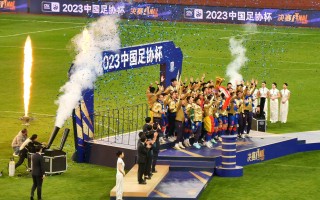 中国足协杯历届冠军(中国足协杯历届冠军榜)