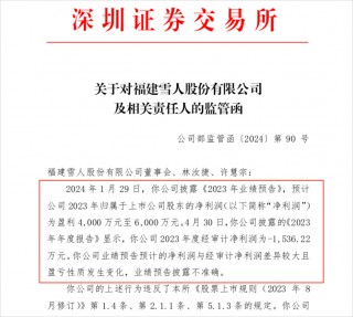 雪人股份收“罚单”