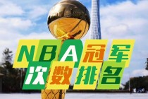 2013年nba总决赛冠军(2013年nba总决赛cctv)