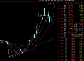 秒速30%封板！A股又一赛道彻底火了：50股涨超10%！
