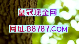 90足球即时比分(90足球即时比分电脑版)