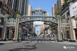 东莞东坑镇工厂智能停车(东莞新建智能化公共停车场)