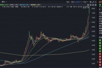四倍大牛股，控股股东面临破产清算