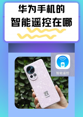 手机上看电视回放(手机上看电视回放电视台节目)