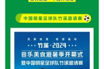 中国足球明星(中国足球明星全部名单)