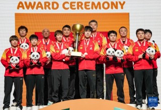 世界杯中国队(世界杯中国队更好成绩)
