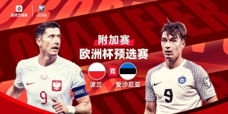 2020欧洲杯附加赛(2020欧洲杯附加赛比分表)