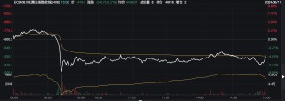 安理会通过加沙停火决议 海运巨头股价跌停，反应过度还是拐点已至？