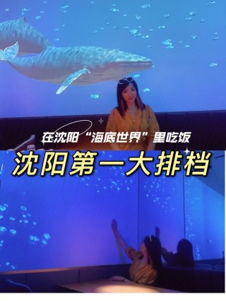 大排档看欧洲杯(大排档看欧洲杯的软件)