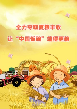把中国饭碗端得更稳更牢(把中国饭碗端得更稳更牢重)