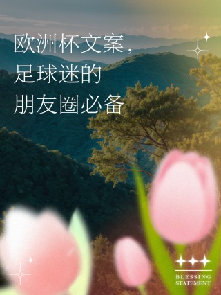 欧洲杯文案生活(2021年欧洲杯朋友圈创意文案)