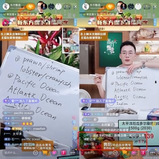 东方卫视回看直播回放(东方卫视回看直播回放在哪看)