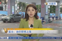 广东新闻频道直播(广东新闻频道直播广东)