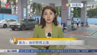 广东新闻频道直播(广东新闻频道直播广东)