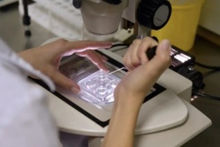 美千余名科学家签署 ***  控诉特朗普 *** 削减科研经费