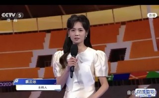 央视解说欧洲杯(央视解说欧洲杯的主持)