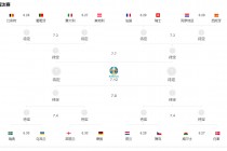 2016法国欧洲杯比分(2016法国欧洲杯比分数据)