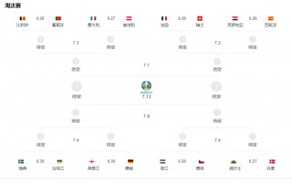 2016法国欧洲杯比分(2016法国欧洲杯比分数据)