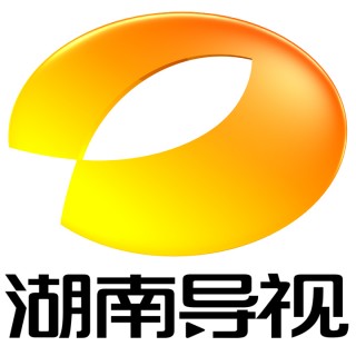 湖南卫视官网入口(湖南卫视官网入口网页版回放)