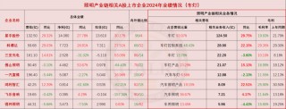 温其东｜2024年中国照明产业链上市公司业绩大排行