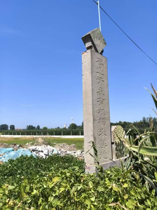 山东临沂多名村民称基本农田遭大面积破坏，市 *** 曾开过警示约谈会议  第3张