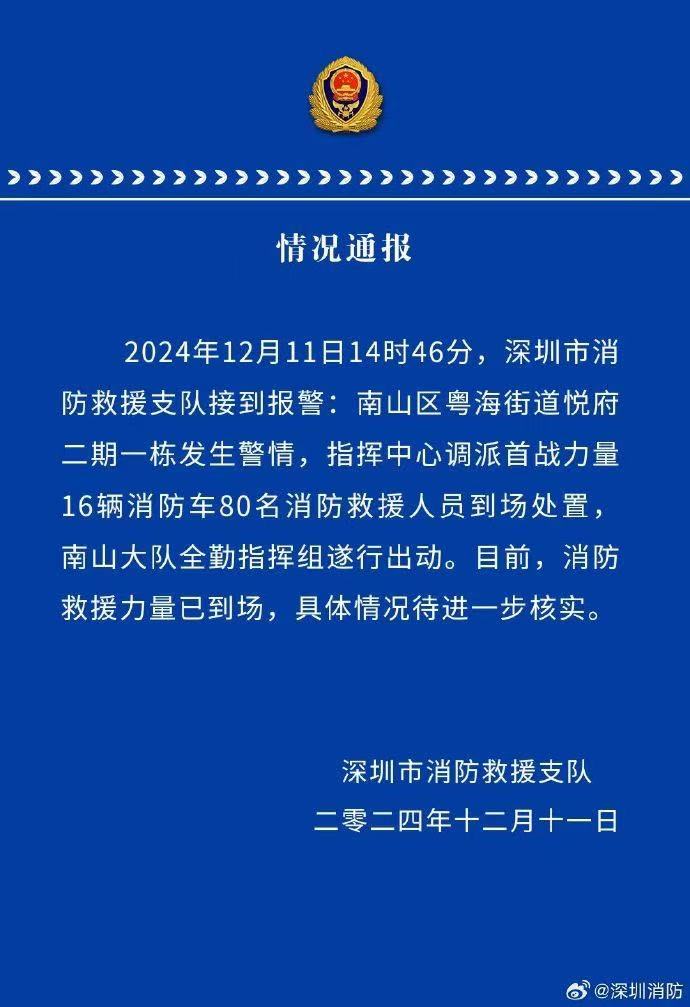 深圳湾千万豪宅发生爆燃，对面楼宇人士称“感受到明显冲击波”  第1张
