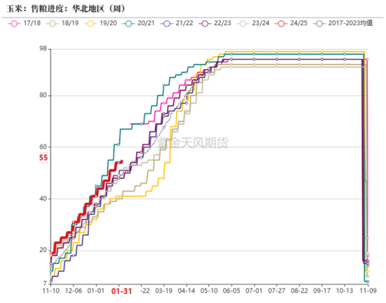 政策暖风吹，玉米开门红  第5张