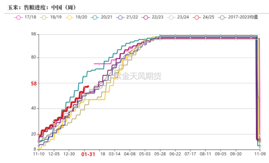 政策暖风吹，玉米开门红  第7张
