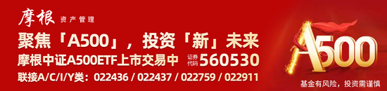 “会分红的”中证A500ETF摩根(560530)成分股东华软件、航锦科技等多股涨停，A股有望迎来新一轮上涨  第1张